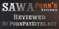 http://pornpaysites.net